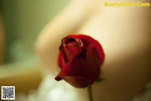 A woman in a white lingerie holding a rose.
